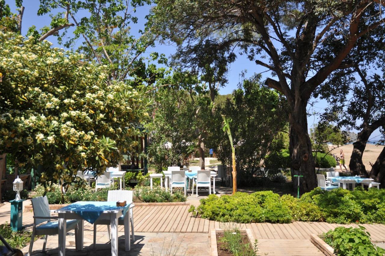 Bellerofon Beach Otel ชิลารึ ภายนอก รูปภาพ