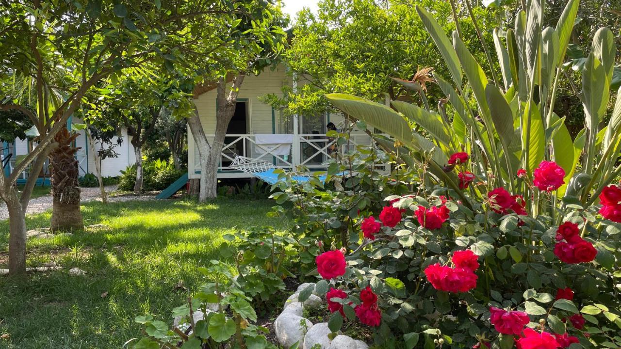 Bellerofon Beach Otel ชิลารึ ภายนอก รูปภาพ