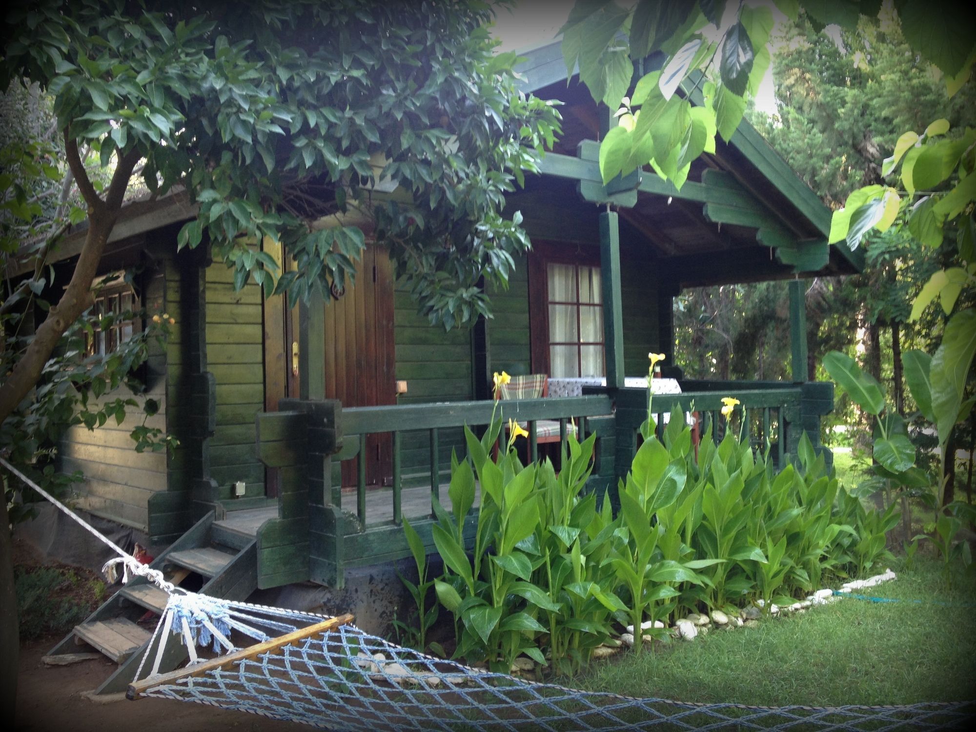 Bellerofon Beach Otel ชิลารึ ภายนอก รูปภาพ